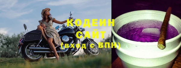 apvp Горняк