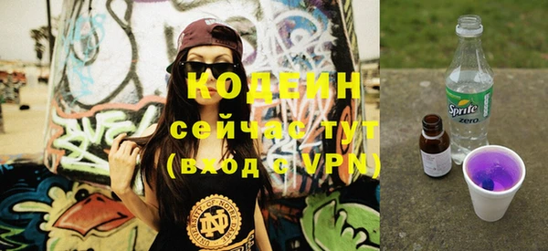 apvp Горняк