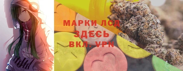 apvp Горняк