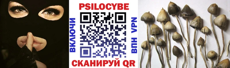Галлюциногенные грибы GOLDEN TEACHER  Купить закладки  Скопин 
